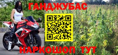 apvp Гатчина